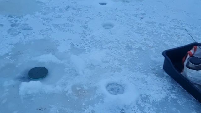 14-02-2025 смотреть онлайн