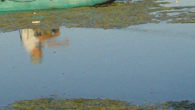 Ловим карася смотреть онлайн