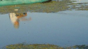 Ловим карася