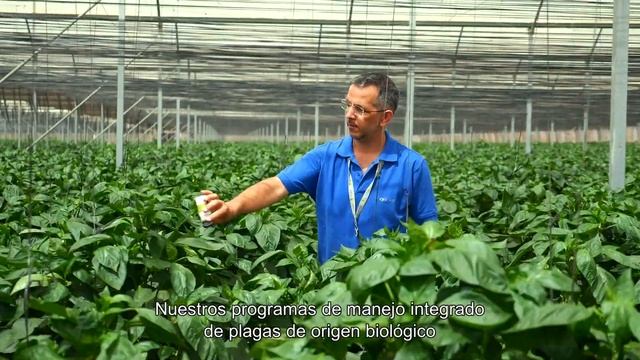 BIOBEE - Encaminados Juntos смотреть онлайн