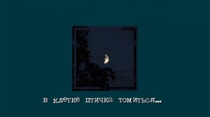 в клетке птичка томиться... | speed up ^••^~