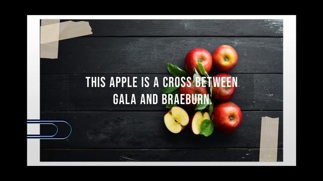 Fun facts about the Kanzi apple смотреть онлайн