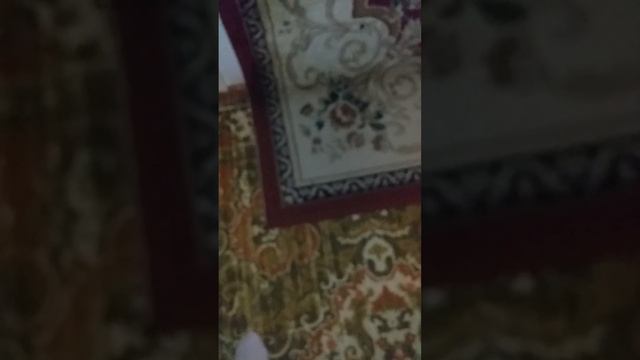 Сурходарёденовшахар23й 2-ноябр Гулистонкучаси81дом кмерани бузганларкулгатушди Озода Маф туна Нигор смотреть онлайн