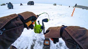 УДОЧКА В ДУГУ! ХАПОК СУДАКА, ЛОВИЛ ПОКА НЕ СПАЛИЛСЯ! Судак в собственном соку в Автоклаве Малиновка
