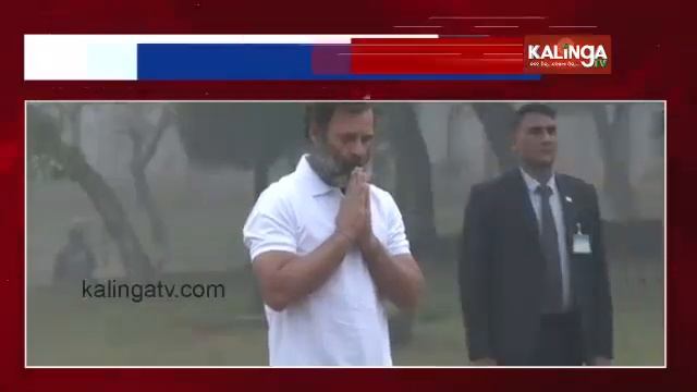 Rahul Gandhi Wears Just A T-shirt Amid Cold Weather In Delhi || KalingaTV смотреть онлайн