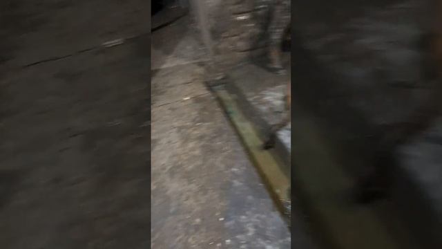 мега усиленный откорм бычков на гранулированном комбикорме смотреть онлайн