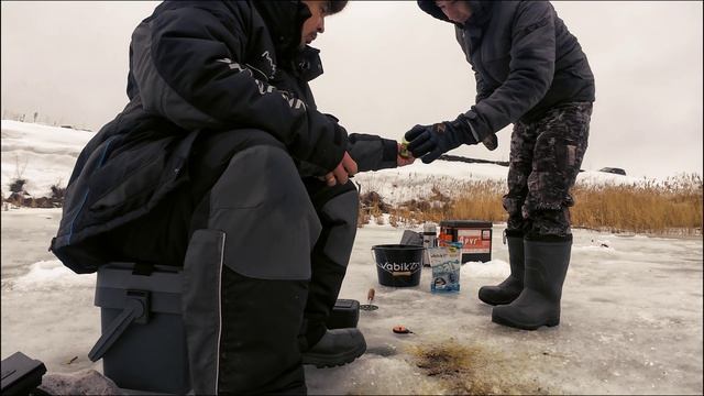 Приехали за живцом, но поймали не то. Шитик в деле. смотреть онлайн