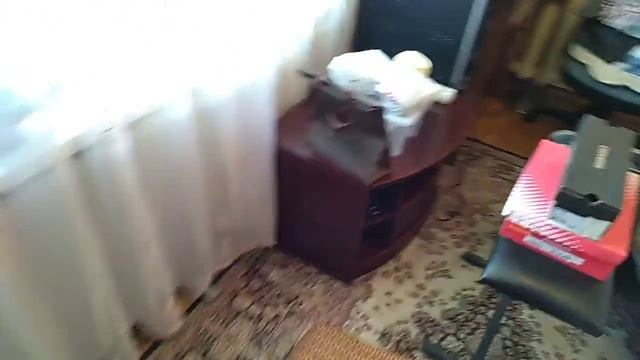 Клопы. Что делать ? смотреть онлайн