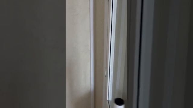 Объявление № 4603568155