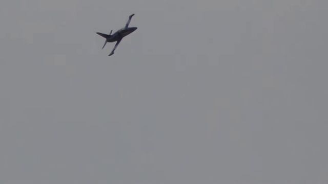 Black Horse Albatros L 39 - Maiden Flight смотреть онлайн