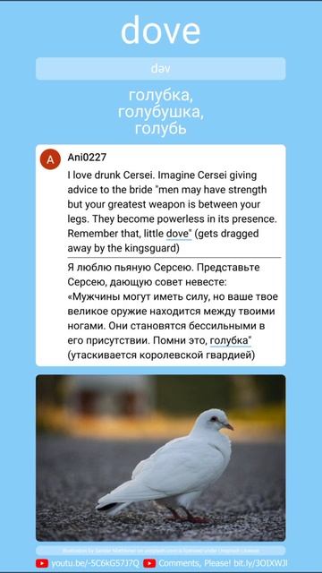 ᴇɴ dove - ʀᴜ голубка, голубушка, голубь смотреть онлайн