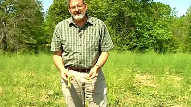 Asparagus Harvest - From the Ground Up смотреть онлайн