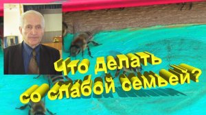 Профессор Кашковский: что делать со слабой семьей?