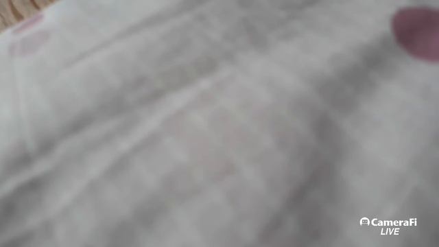 camerafi live смотреть онлайн