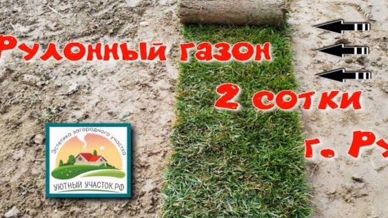 Рулонный газон, 2 сотки, г. Руза смотреть онлайн