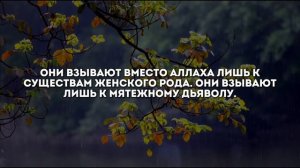 Ридван аш-Шишани. Сура 4 Ан-Ниса аяты 106-127