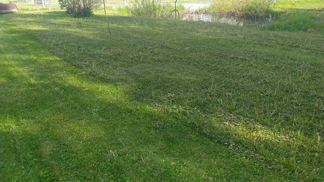 Посадили картофель. Собираем скошенное.