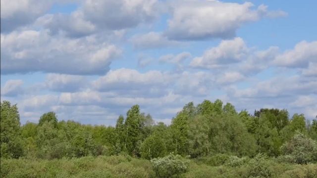 А лето цвета неба... смотреть онлайн