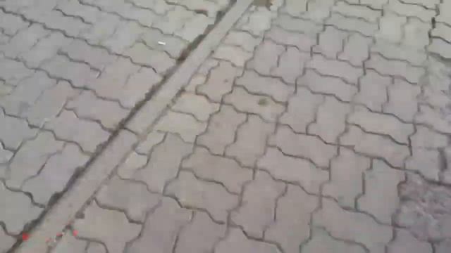 Извини Батайск оцениваем треки смотреть онлайн
