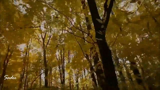 Poets Of The Fall - The Lie Eternal смотреть онлайн