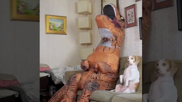 Необычный хозяин собаки смотреть онлайн