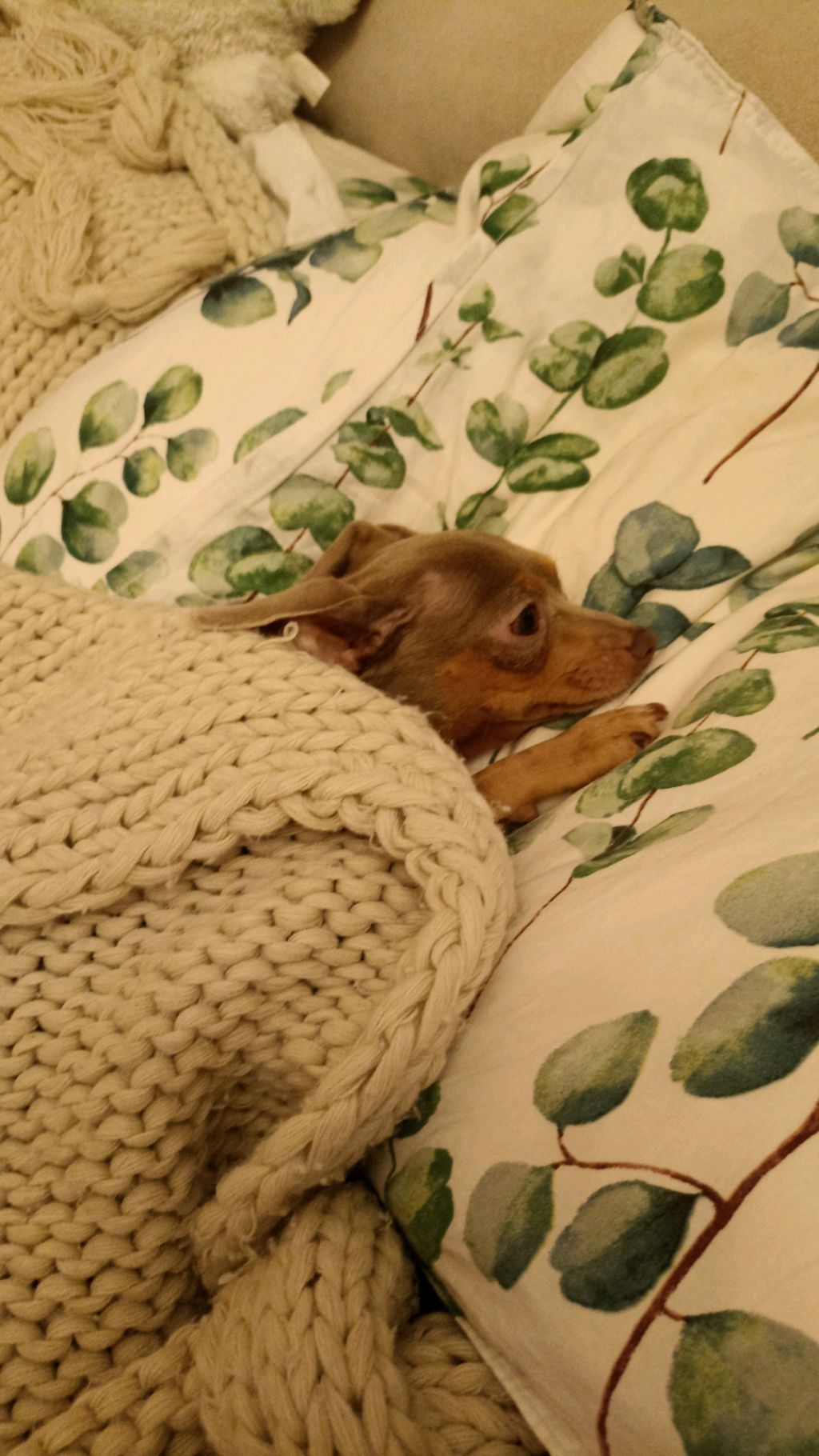 играем с пупсиком ( Ладой) смотреть онлайн