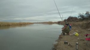 Рыбалка на тарань. Ловим таранку в январе на каналах. Станица Брыньковская