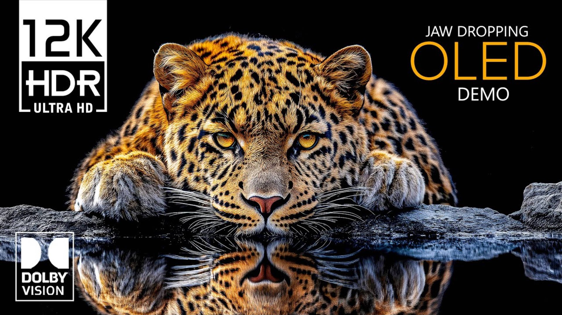 12K HDR 120 кадров/с — захватывающее видео с Dolby Vision 12K для телевизоров 4K и 8K смотреть онлайн