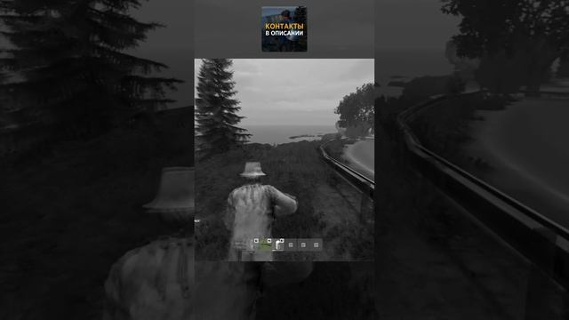 Что я теряю? Патроны у меня есть. DayZ-PEREVOROT_[RU]_[PVE]. #СталкерБаннерщик #perevorot #dayz смотреть онлайн