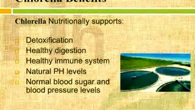 Chlorella Vulgaris & The Benefits of Chlorella ..contact: MARLON 0921-517-29-44 ..0932-465-40-72 смотреть онлайн