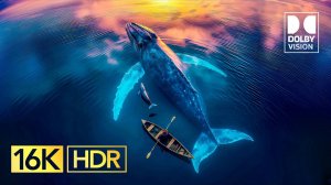 Лучшее видео ULTRA HD с Dolby Vision, 16K HDR, 120 кадров в секунду и 8K