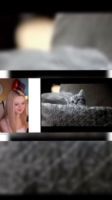 Реклама вискаса 2000 смотреть онлайн