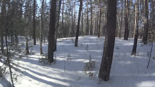 Увернись от дерева смотреть онлайн