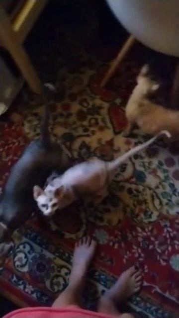 Утро начинается не с кофе 🍵 😁 смотреть онлайн