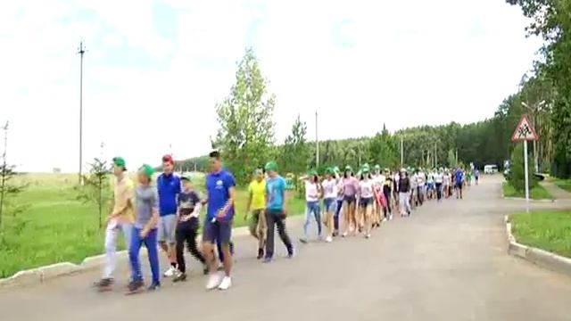 эко чайка смотреть онлайн