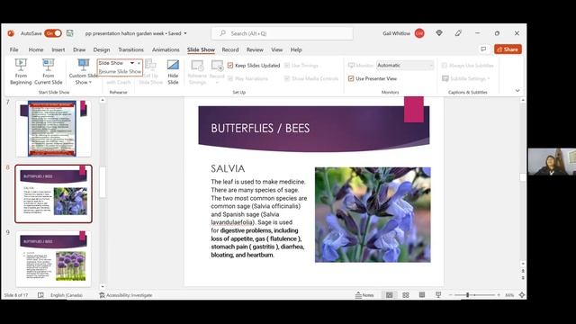 Herbal Medicine with Gail Whitlow смотреть онлайн
