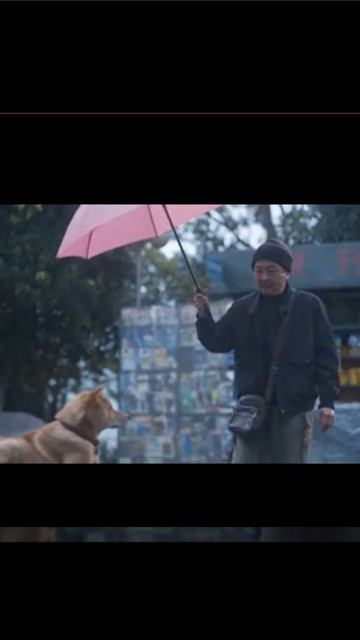 Мой Хатико #2023 #сериалы #Фильм смотреть онлайн