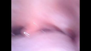 Vore - Inside Mouth