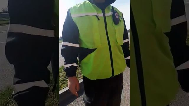 Линивци ломают веса смотреть онлайн