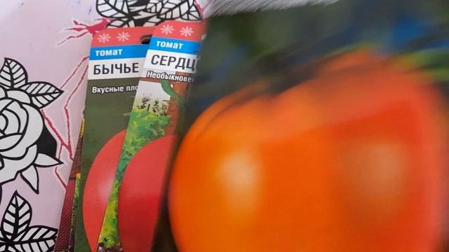 Семена томатов для теплицы.#семенатоматовдлятеплицы#