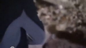 Возвращение Мухтара Задержание 2