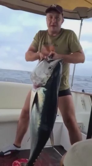 Рыбалка на тунца о.Сахалин