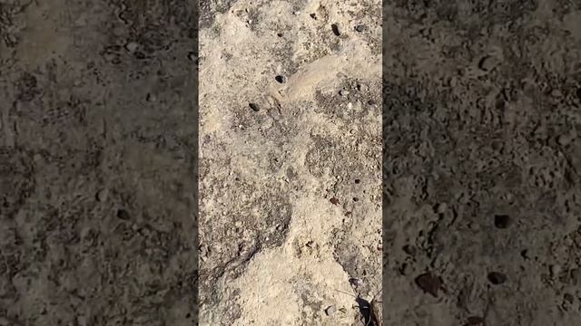 Перга глазами Луки 6 смотреть онлайн