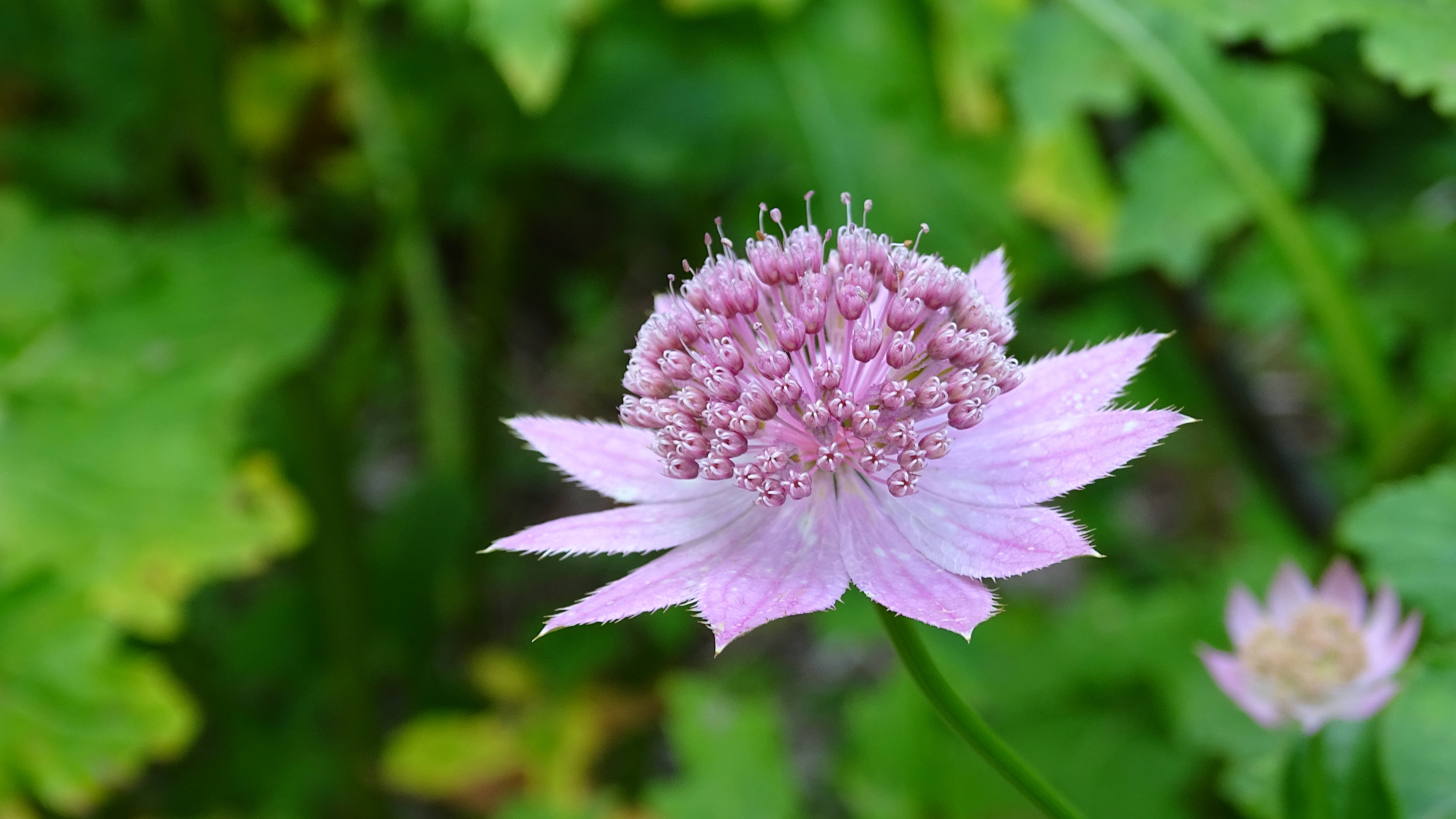 Маршрут по дикой природе Сочинского национального парка. Река Цусхвадж. смотреть онлайн