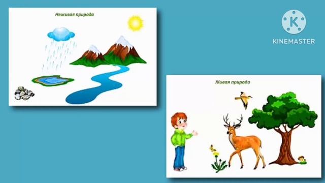 Жансыз жаратылыш, жандуу жаратылыш. смотреть онлайн