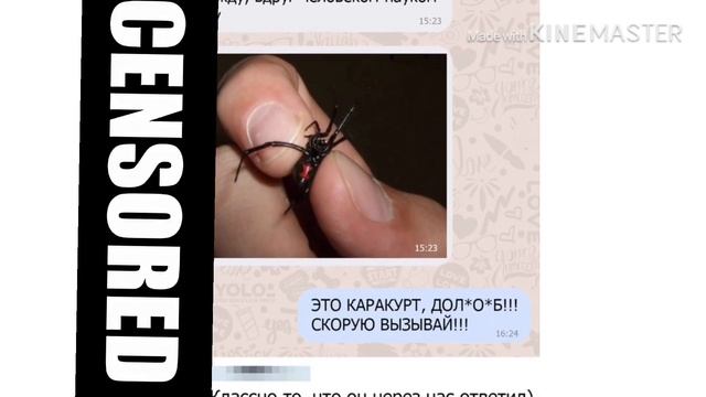 ТОП 5 СКАТИВШИХСЯ ПАБЛИКОВ ВКОНТАКТЕ!!! смотреть онлайн