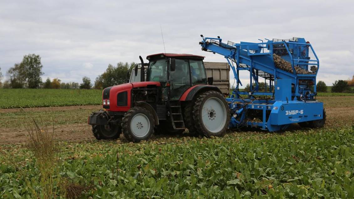 Свеклоуборочный комбайн ЗУБР 6 (аналог AMITY)