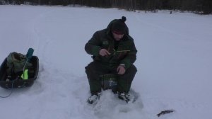 Рыбалка в Карелии! Пятеро и собака!