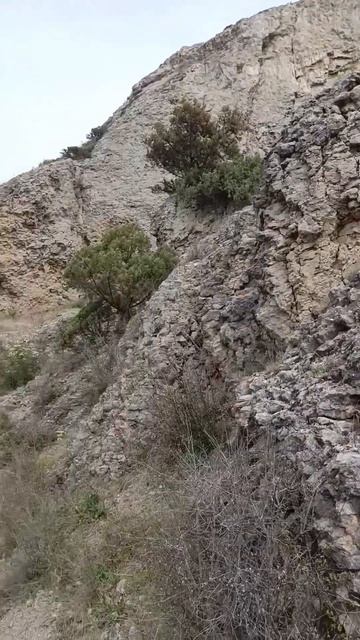 Крым.Судак.Заповедное урочище «Алчак-Кая».апрель 2024 #весна #природа #крым #travel #отдых #море смотреть онлайн