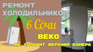 Ремонт холодильника Beko CN 332120 вздута стенка